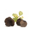 Truffe brossée 1er choix 25 g