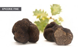 truffes du Périgord